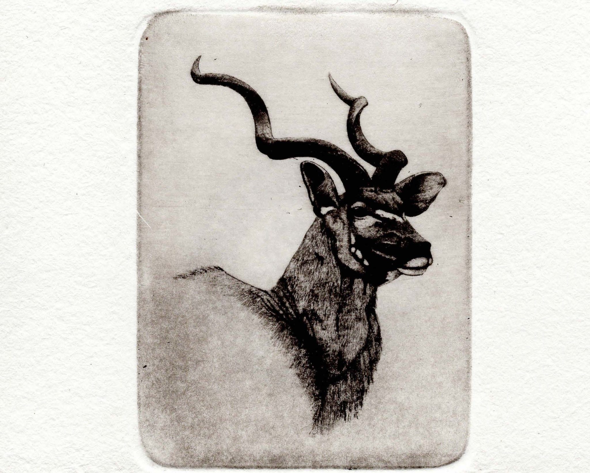 Kudu stamp limited edition print